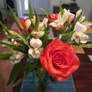 Meet your Posher, Jess